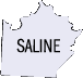 Saline